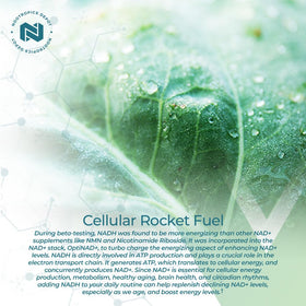Nootropics Depot NADH + Chlorella Vulgaris capsules with measuring spoon