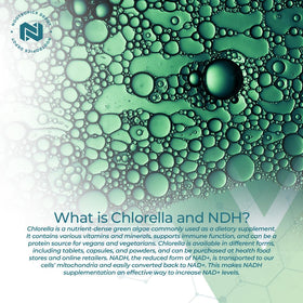 Nootropics Depot NADH + Chlorella Vulgaris packaging