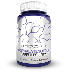 Nootropics Depot Polygala Tenuifolia 100mg capsules front view