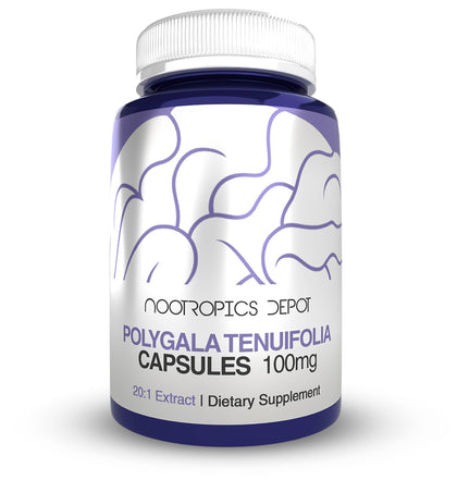 Nootropics Depot Polygala Tenuifolia 100mg capsules front view