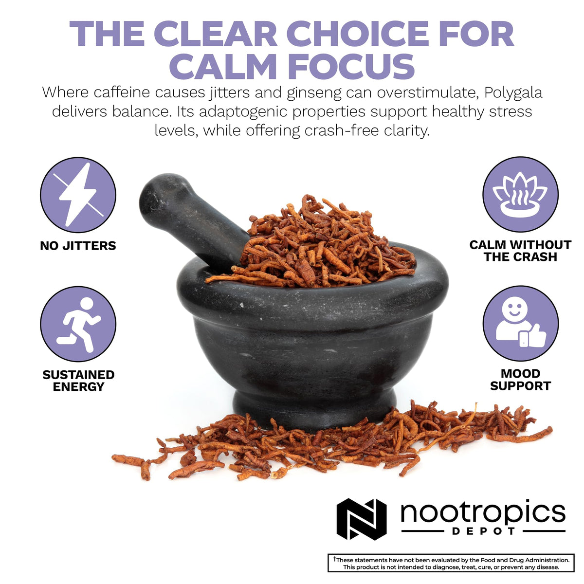 Nootropics Depot Polygala Tenuifolia capsules with measuring spoon
