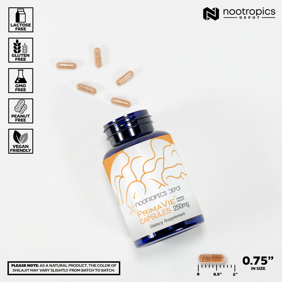 Nootropics Depot PrimaVie Shilajit Capsules 250mg côté vue