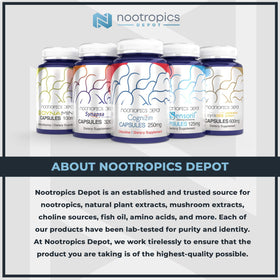 Nootropics Depot Quercetine 500mg comprimés sur une surface plane
