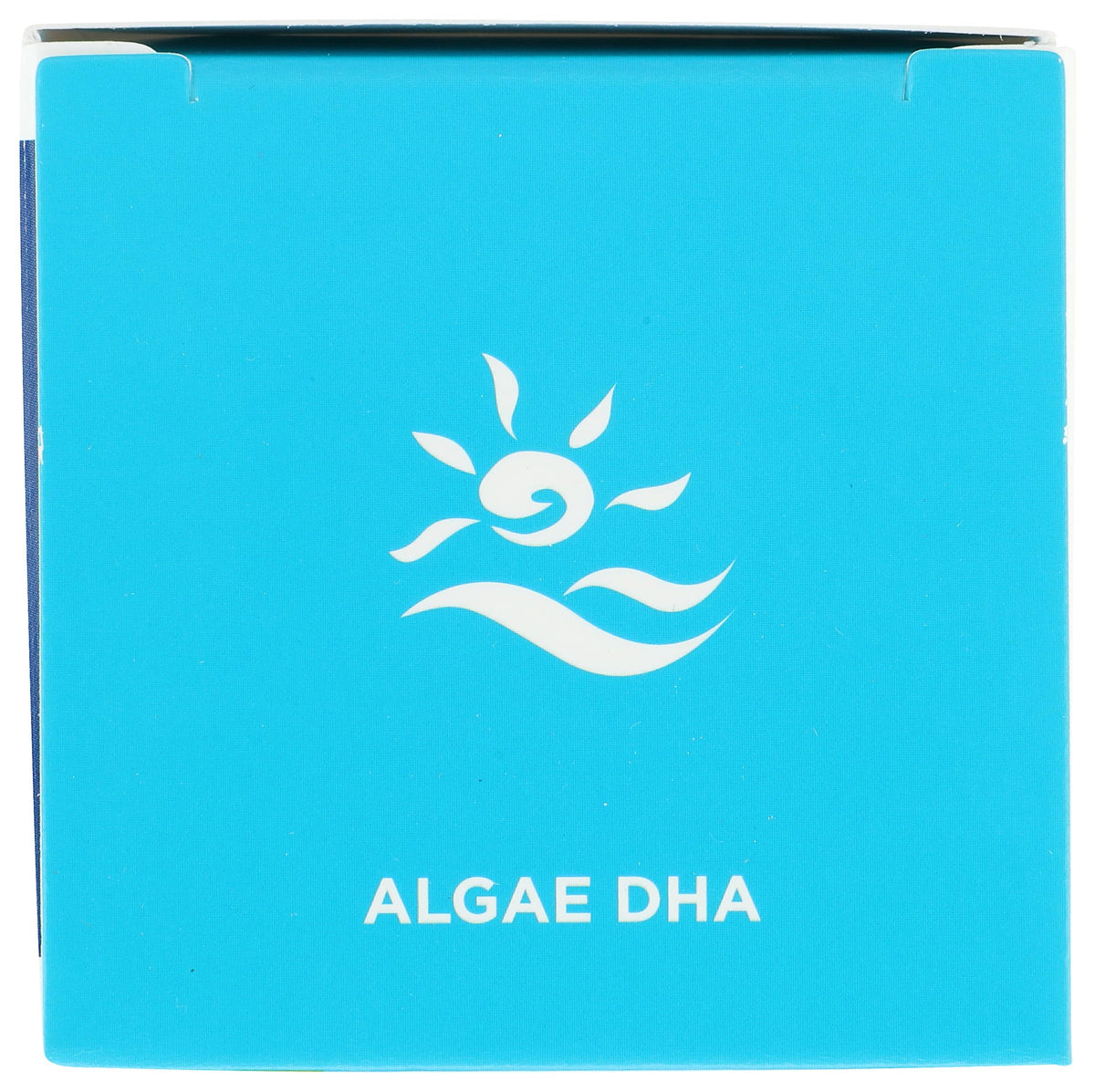 Nordic Naturals Algue DHA 500mg sur une table