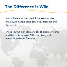 NORTH AMERICAN HERB & SPICE Resp-daily wellness 2 oz en utilisation