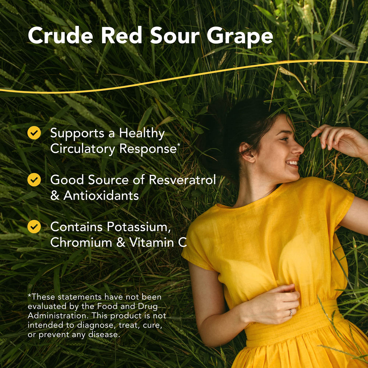 NORTH AMERICAN HERB & SPICE Resvital packaging with ingredients list