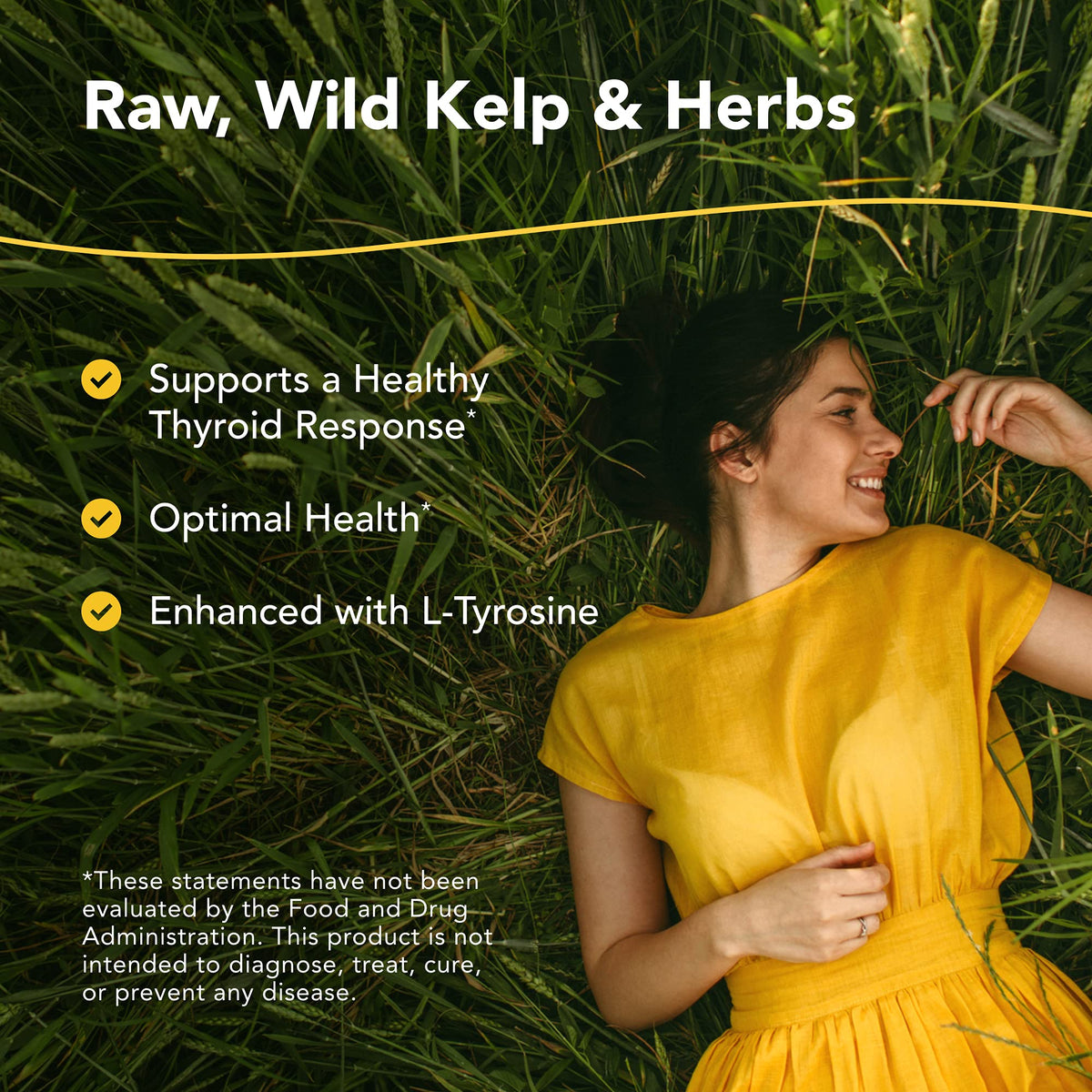 NORTH AMERICAN HERB & SPICE Thyroset 90 capsules arrière