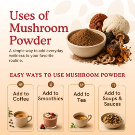 Nourishing Nutrients Complément Alimentaire Champignon 10 en 1 - ingrédients en gros plan