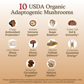 Nourishing Nutrients Complément Alimentaire Champignon 10 en 1 - préparation de café