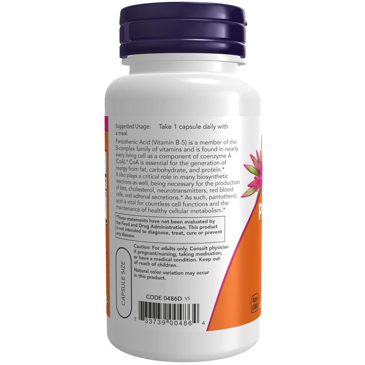 NOW Foods Acide Pantothénique 500mg - Capsules dans une main