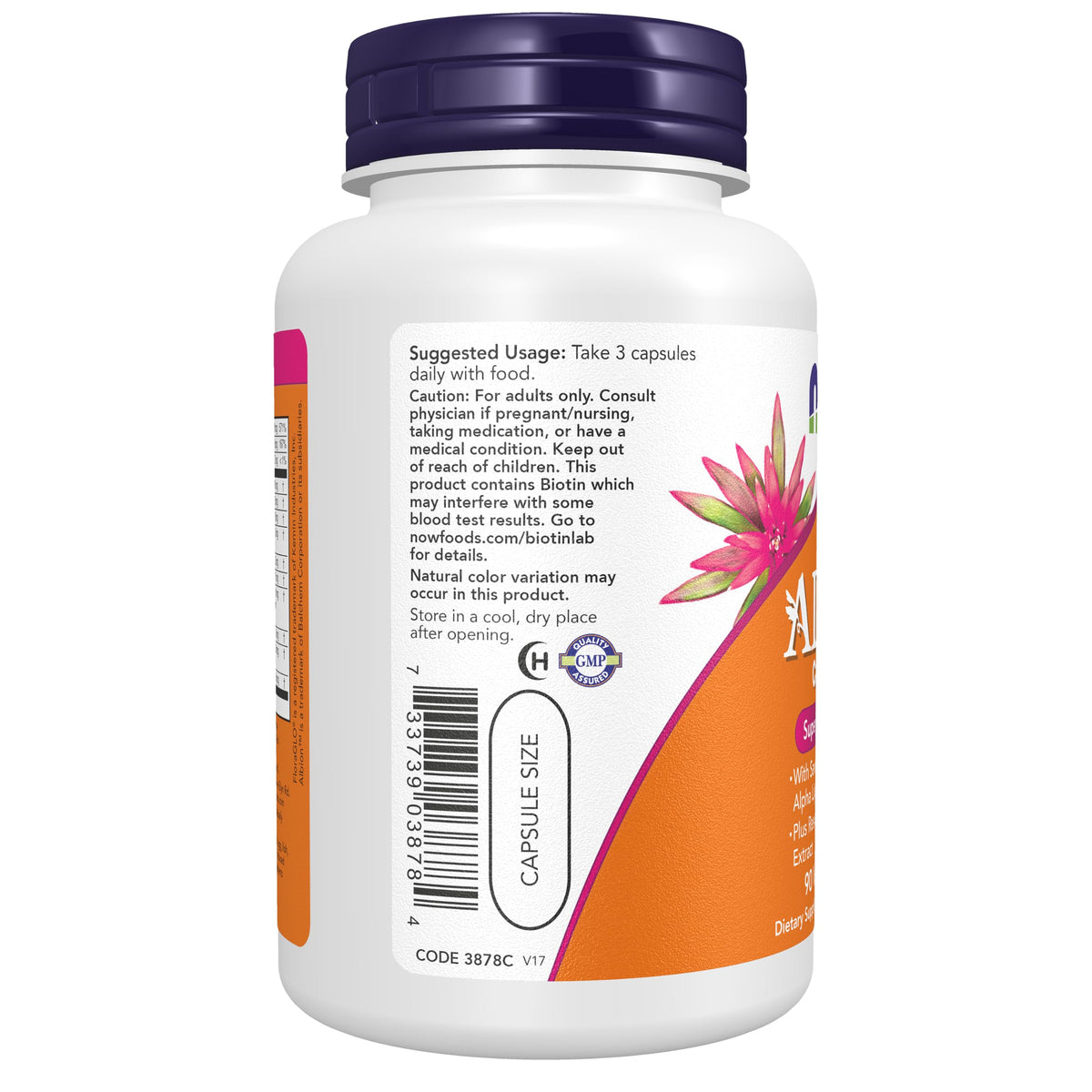 NOW Foods ADAM™ capsules végétales sur une surface en bois