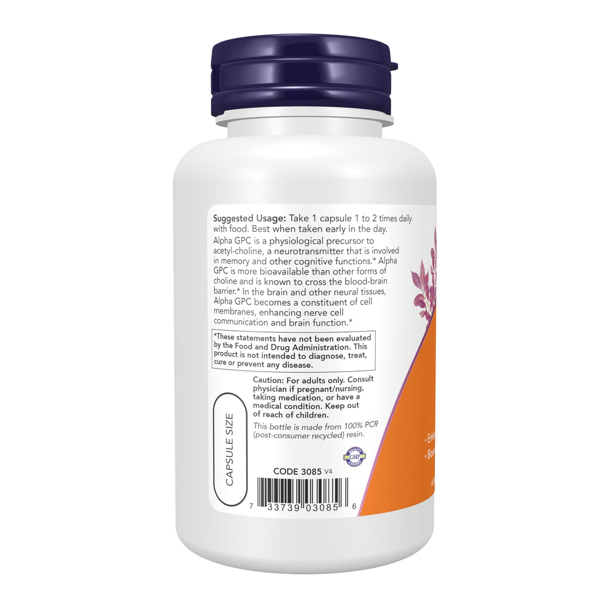 NOW Foods Alpha GPC 300 mg, capsules végétales sur fond blanc