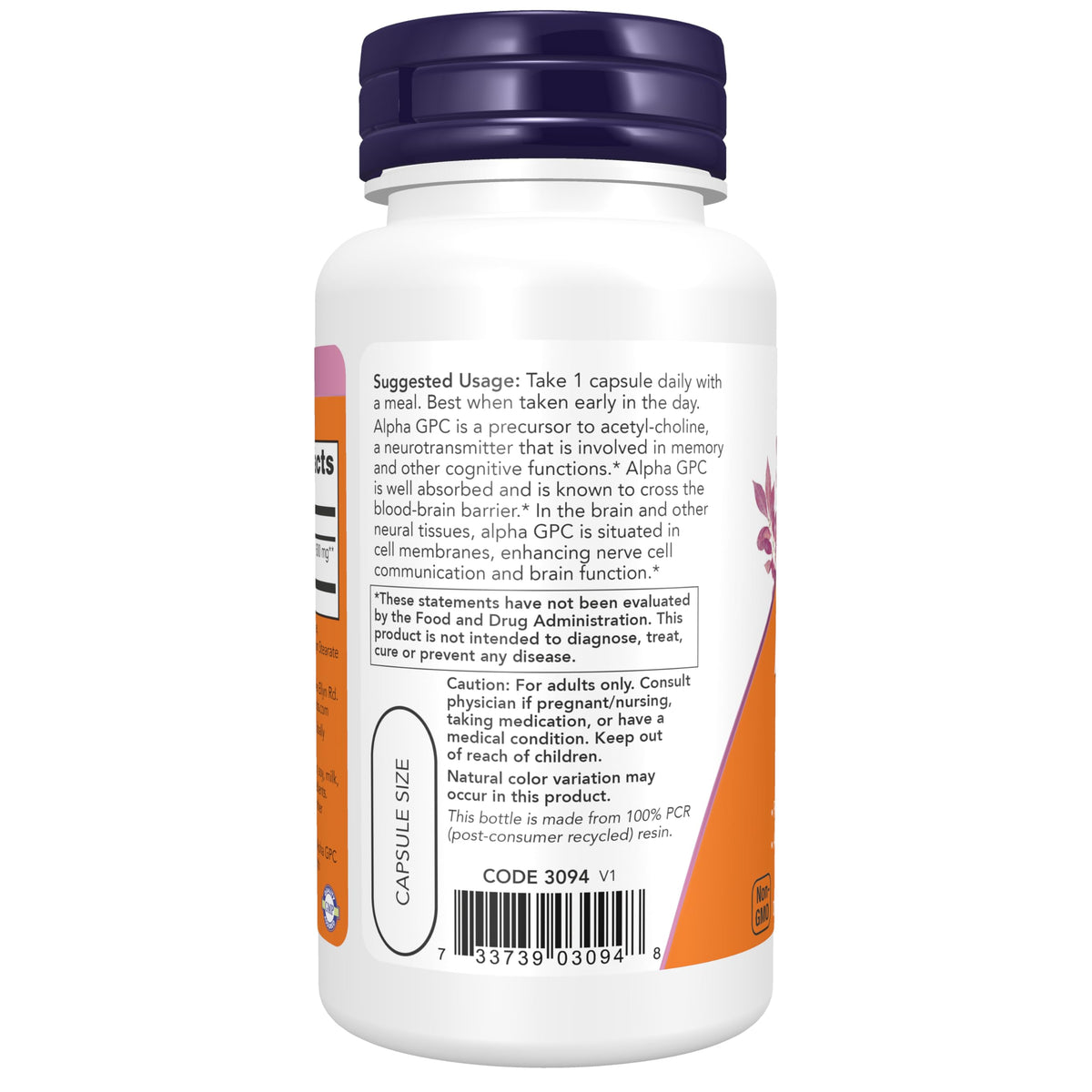 NOW Foods Alpha GPC 600 mg gélules végétales sur fond blanc