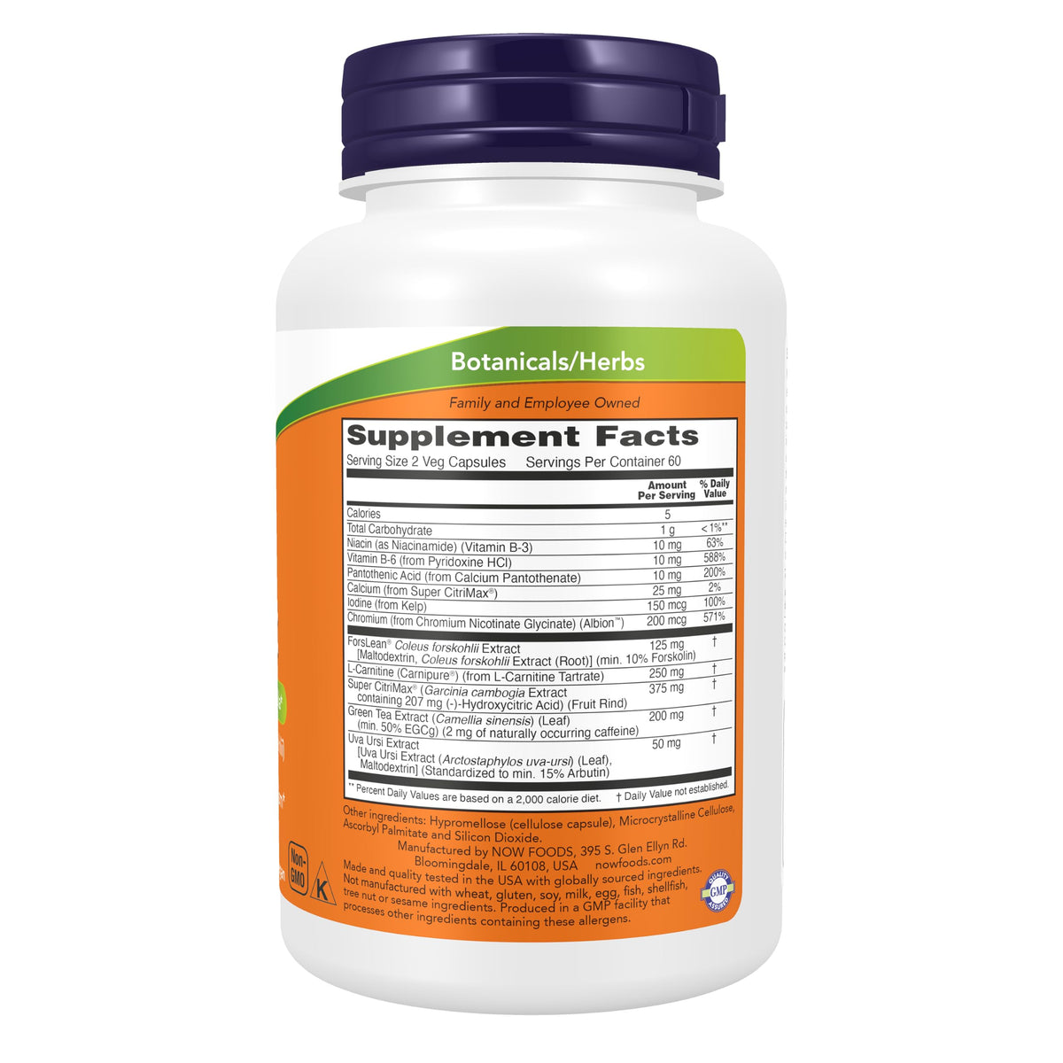 NOW Foods Compléments Alimentaires ForsLean® étiquette et informations nutritionnelles