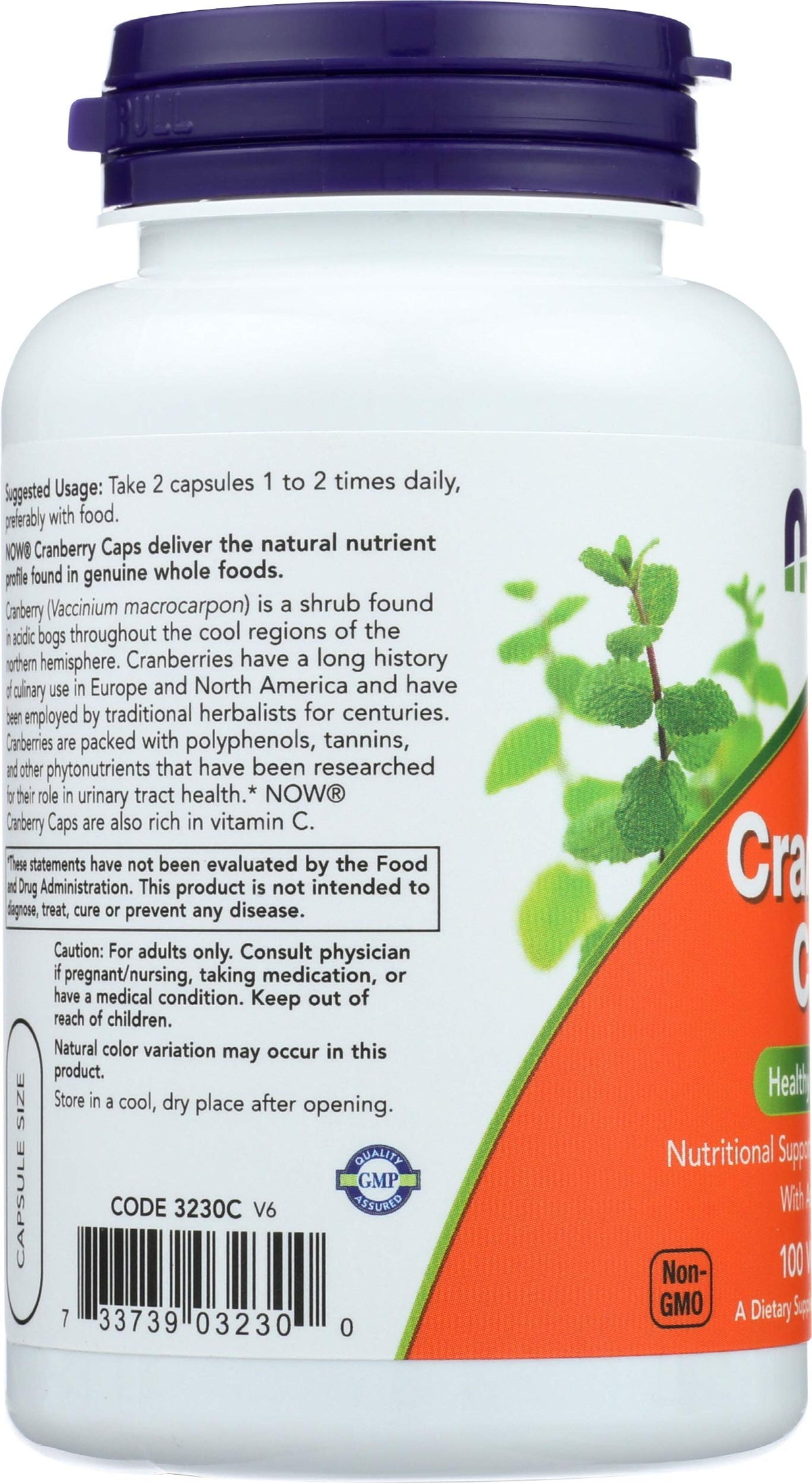 NOW Foods Concentré de Canneberge sur une table avec des plantes