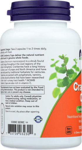 NOW Foods Concentré de Canneberge sur une table avec des plantes