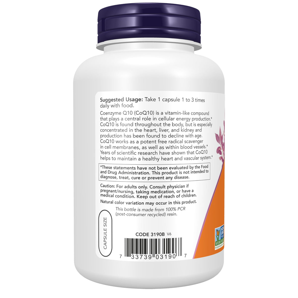NOW Foods CoQ10 30 mg capsules ouvertes montrant leur contenu