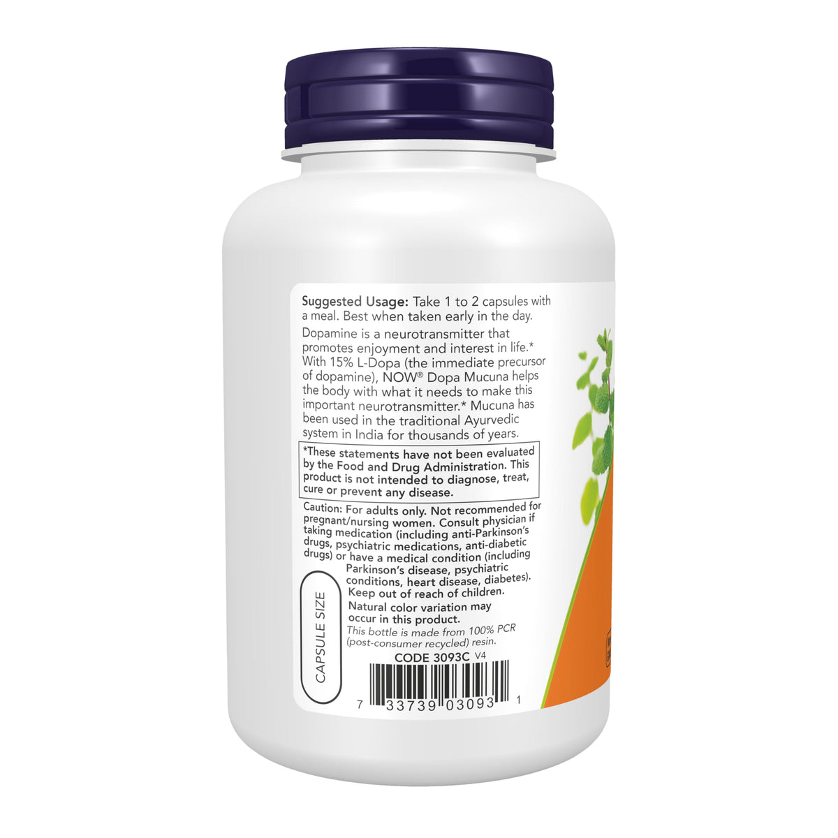 NOW Foods DOPA Mucuna capsules végétales sur fond blanc