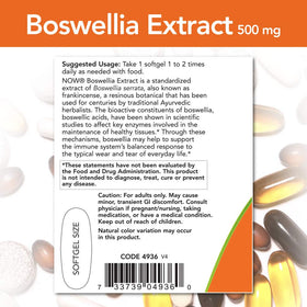 NOW Foods Extrait de Boswellia 500 mg 90 gélules sur fond blanc