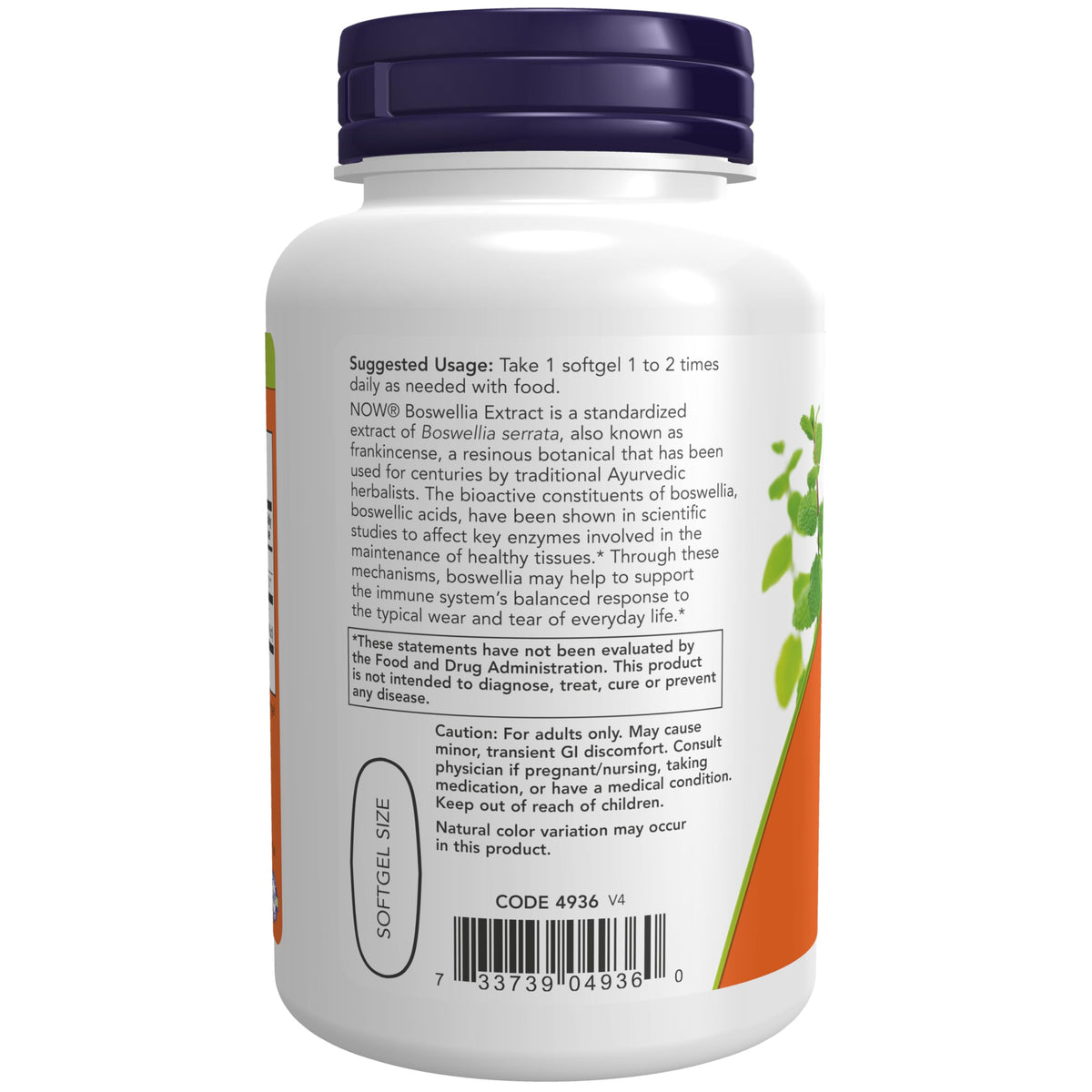 NOW Foods Extrait de Boswellia 500 mg gélule molle ouverte