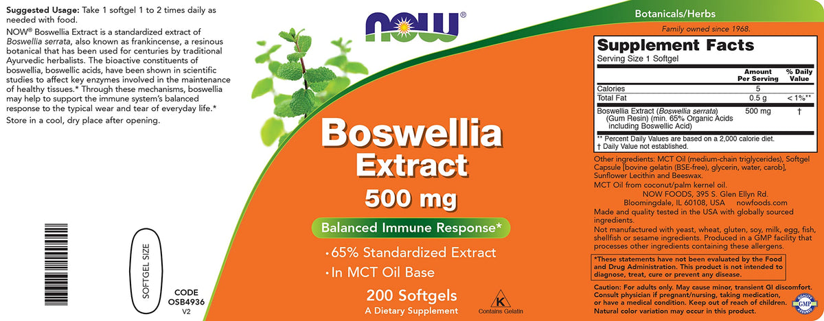 NOW Foods Extrait de Boswellia 500 mg gélules sur fond blanc