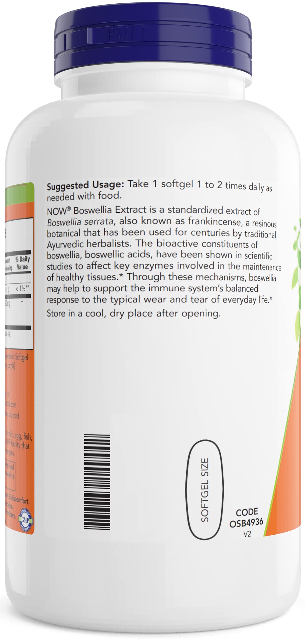 NOW Foods Extrait de Boswellia 500 mg gélules vue de côté