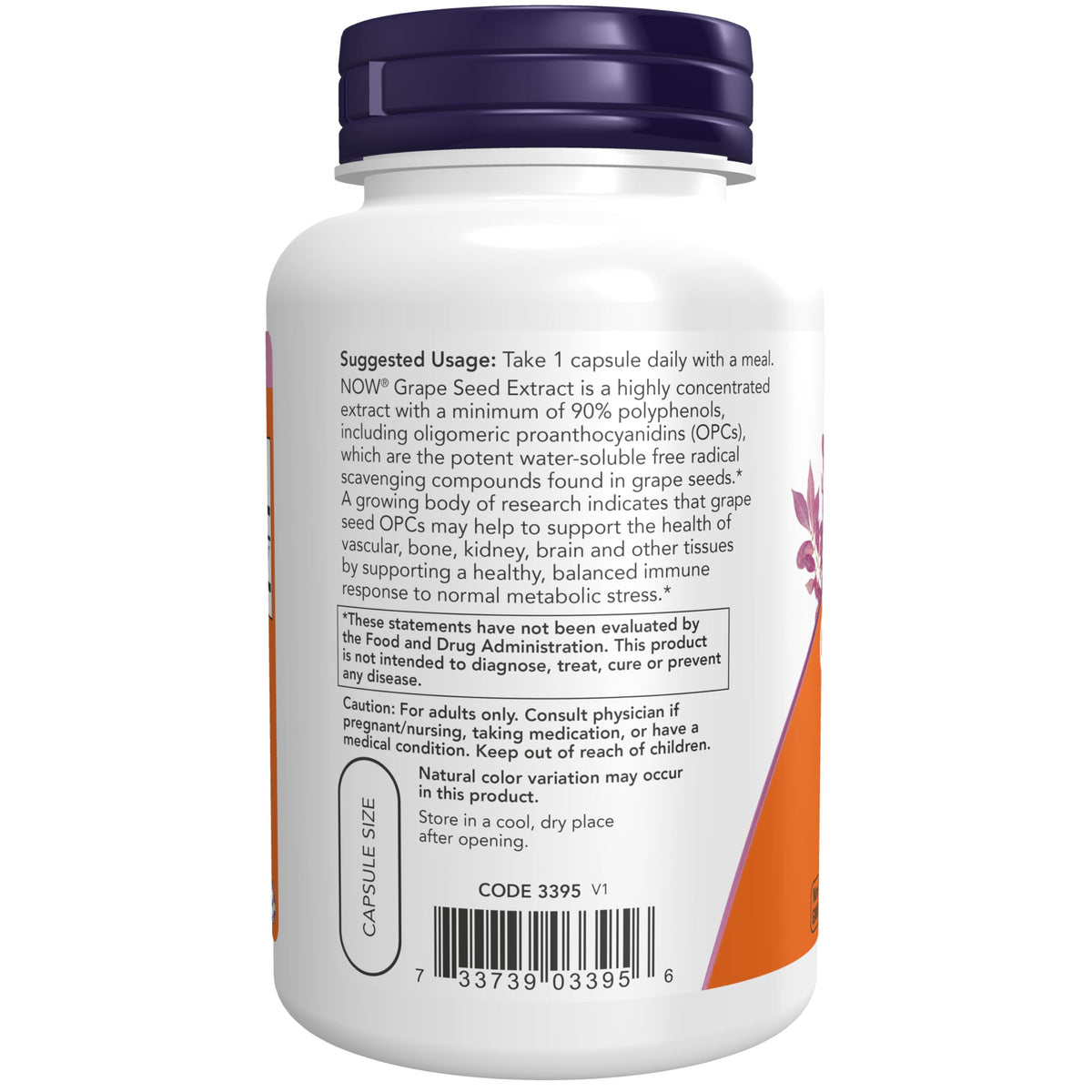 NOW Foods Extrait de Pépin de Raisin 500 mg capsules végétales sur fond blanc