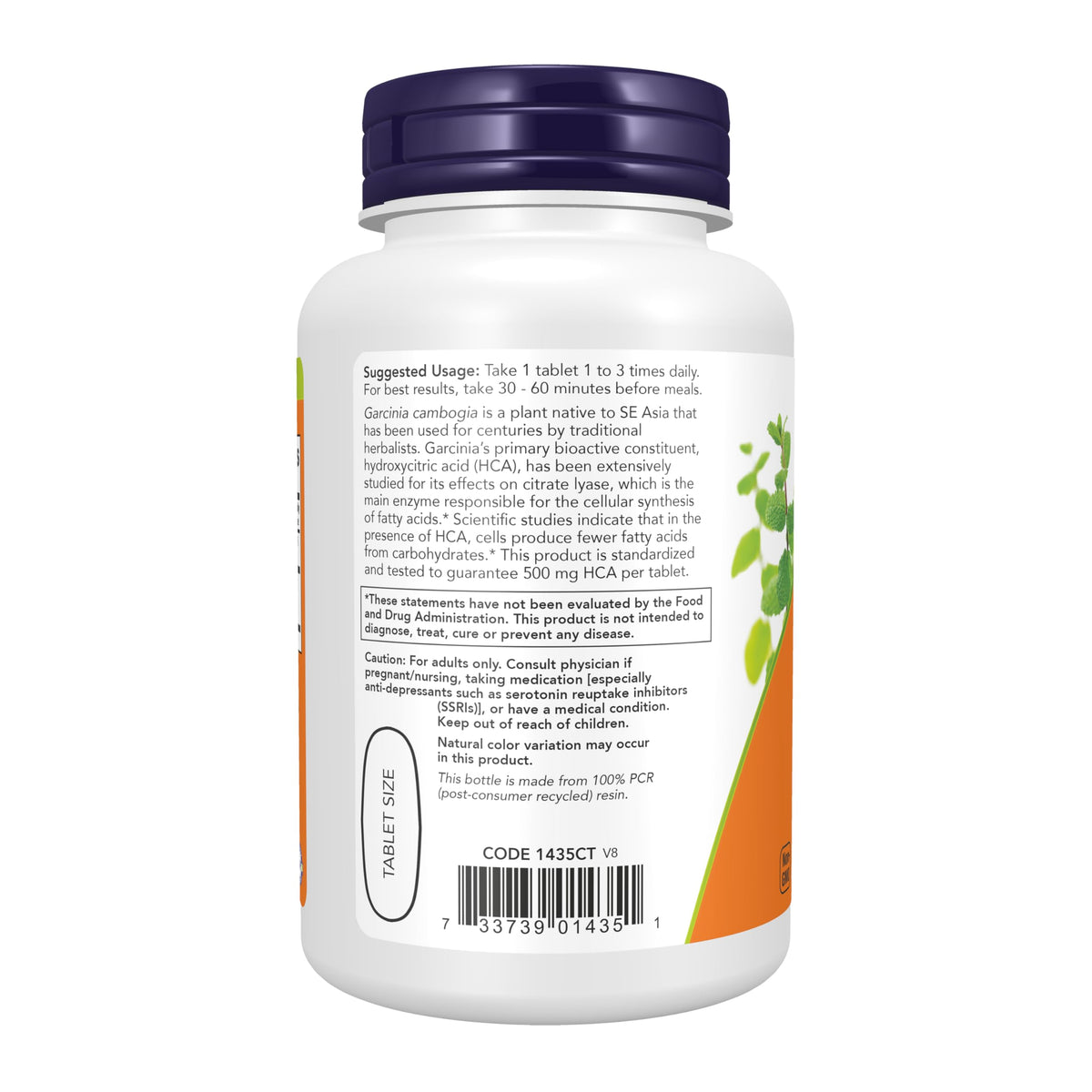 NOW Foods Garcinia Cambogia 1 comprimé sur fond blanc