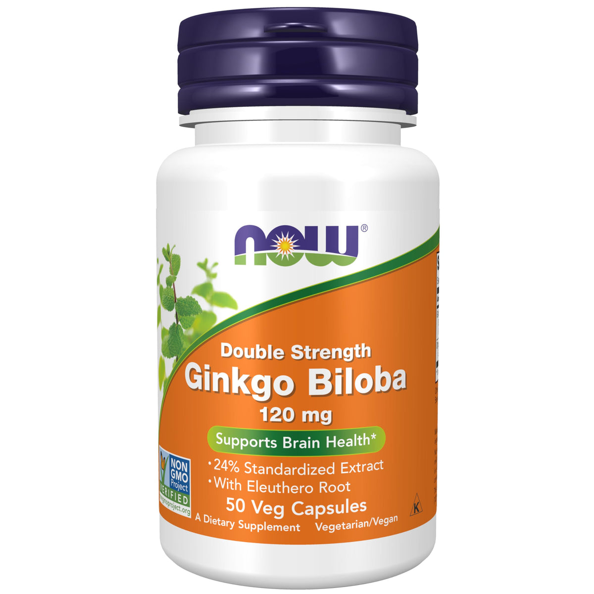 NOW Foods Ginkgo Biloba 120 mg Double Force capsule végétale