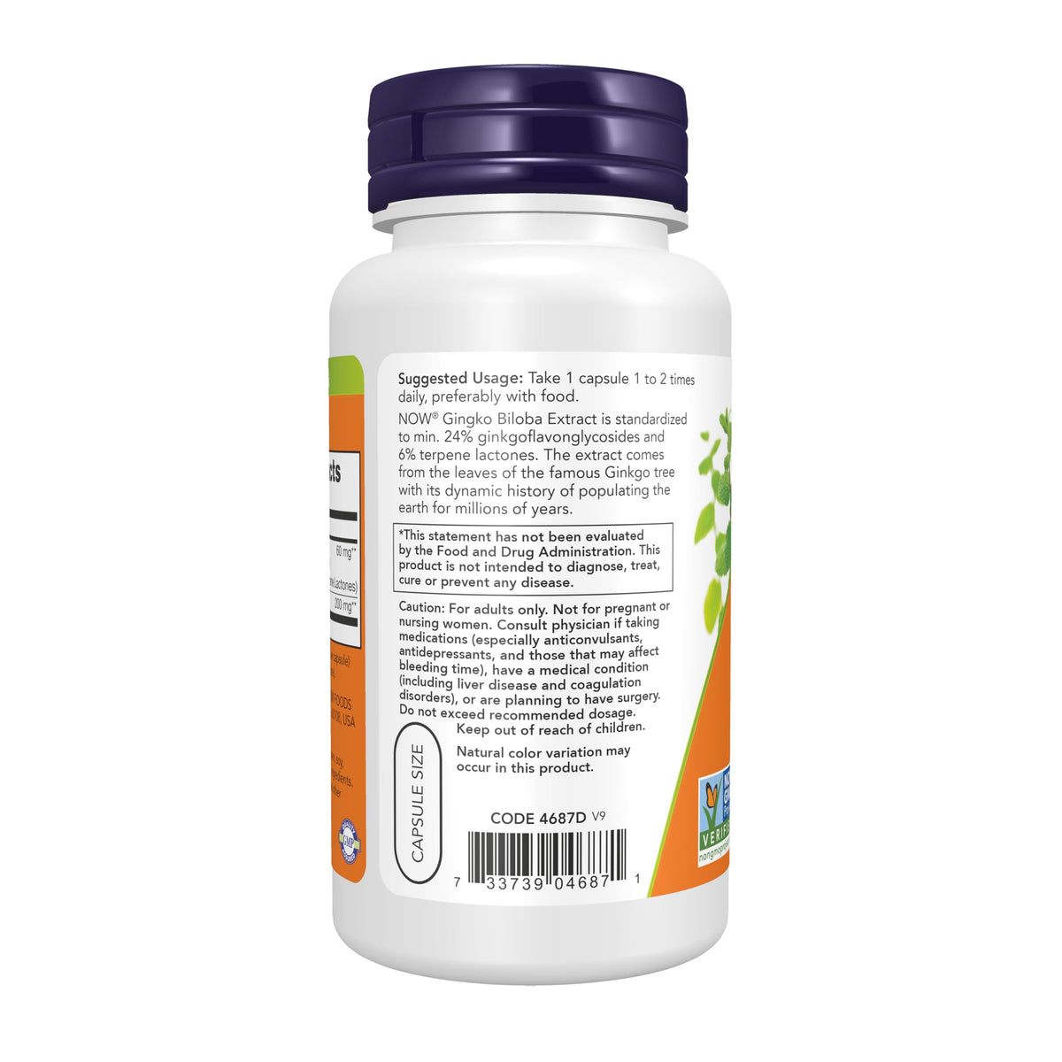 NOW Foods Ginkgo Biloba 60 mg capsules végétales sur un fond blanc