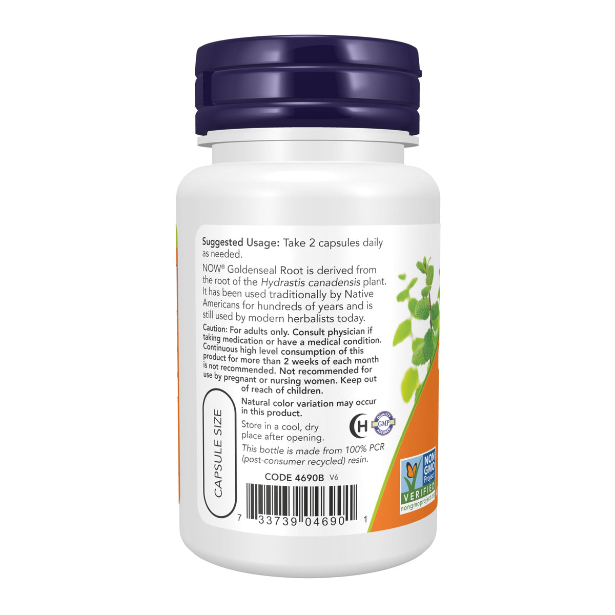 NOW Foods Goldenseal Root 500 mg Capsules végétales à côté d'un verre d'eau