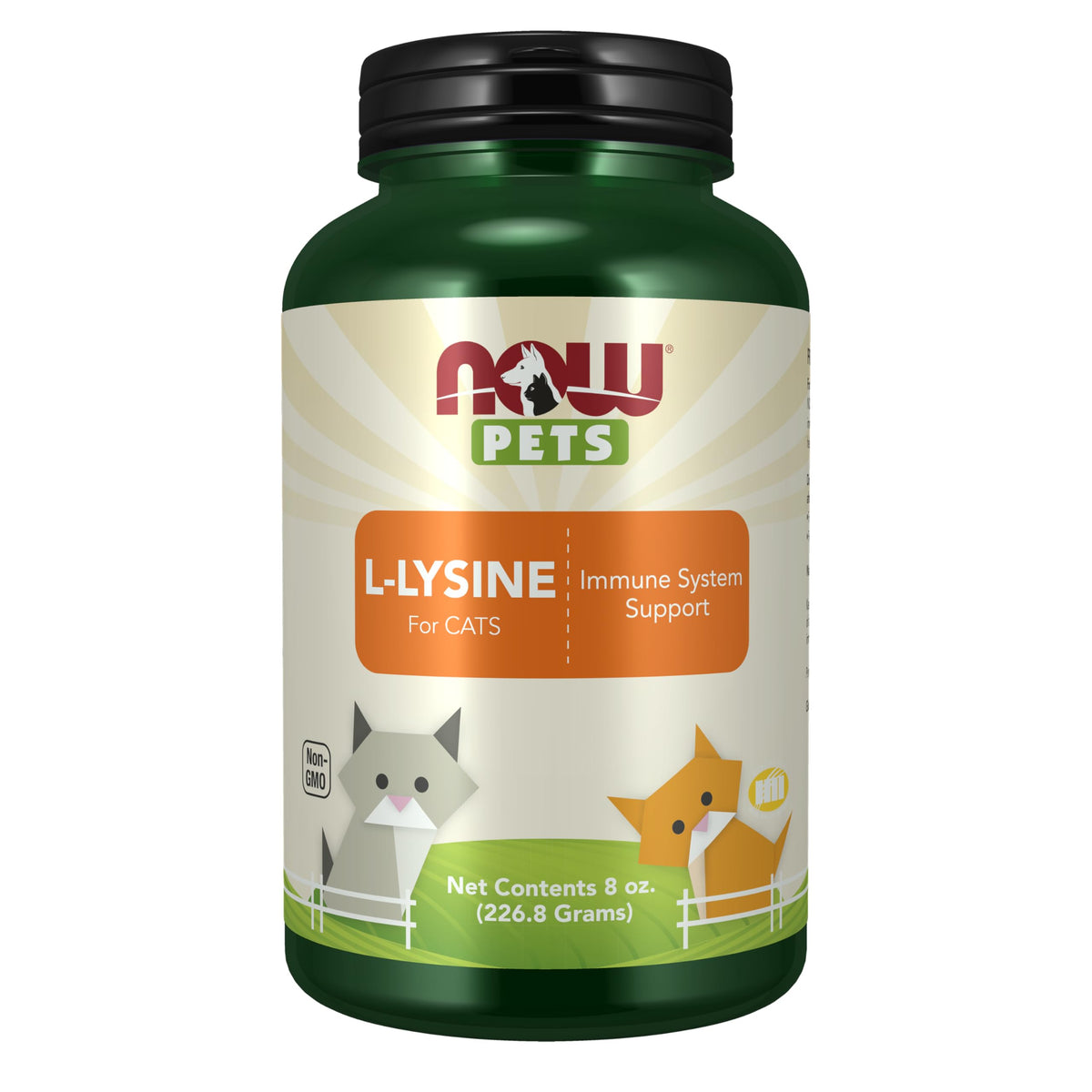 NOW Foods L-Lysine Poudre 290g pour Chats vue de face
