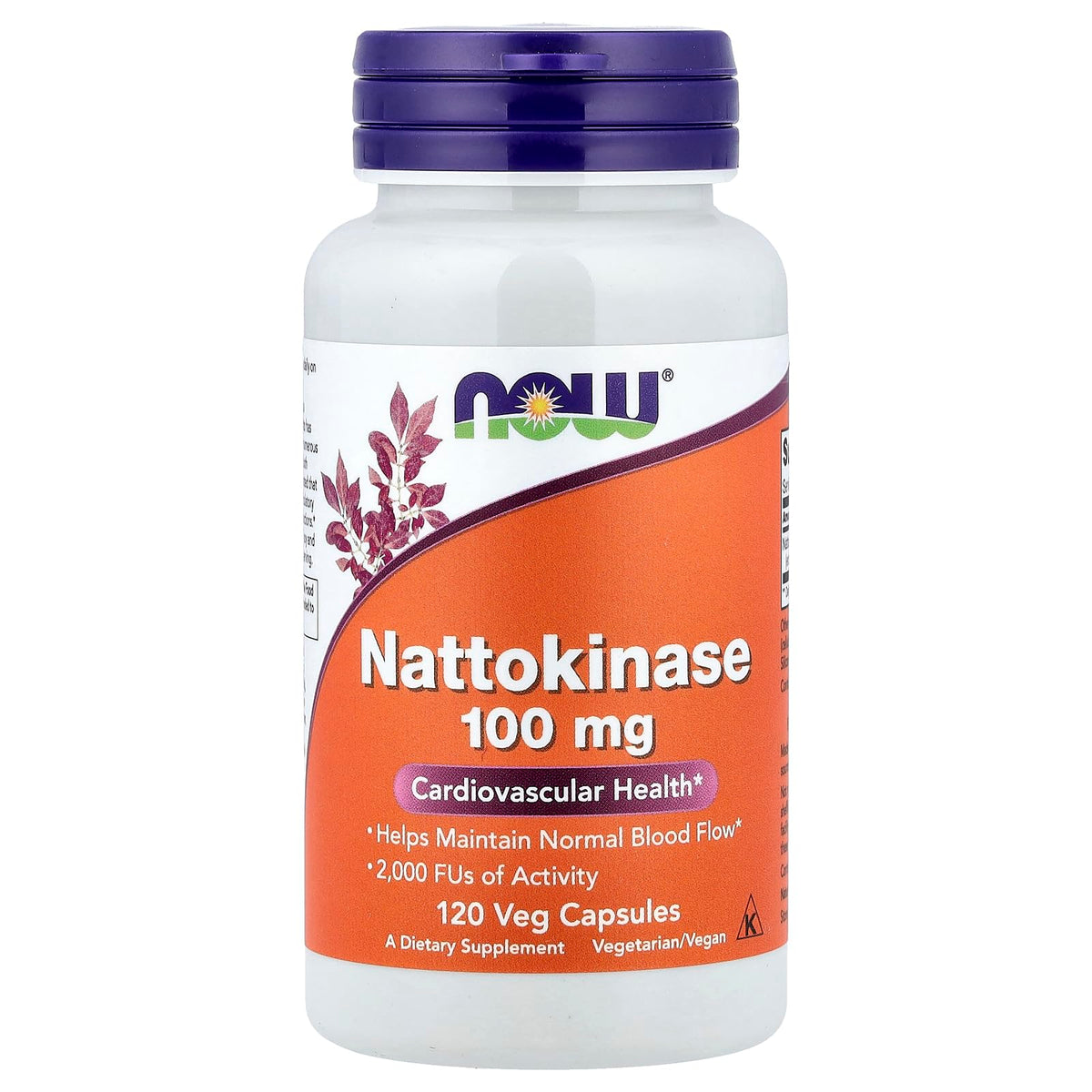 NOW Foods Nattokinase 100 mg 120 capsules végétales vue avant