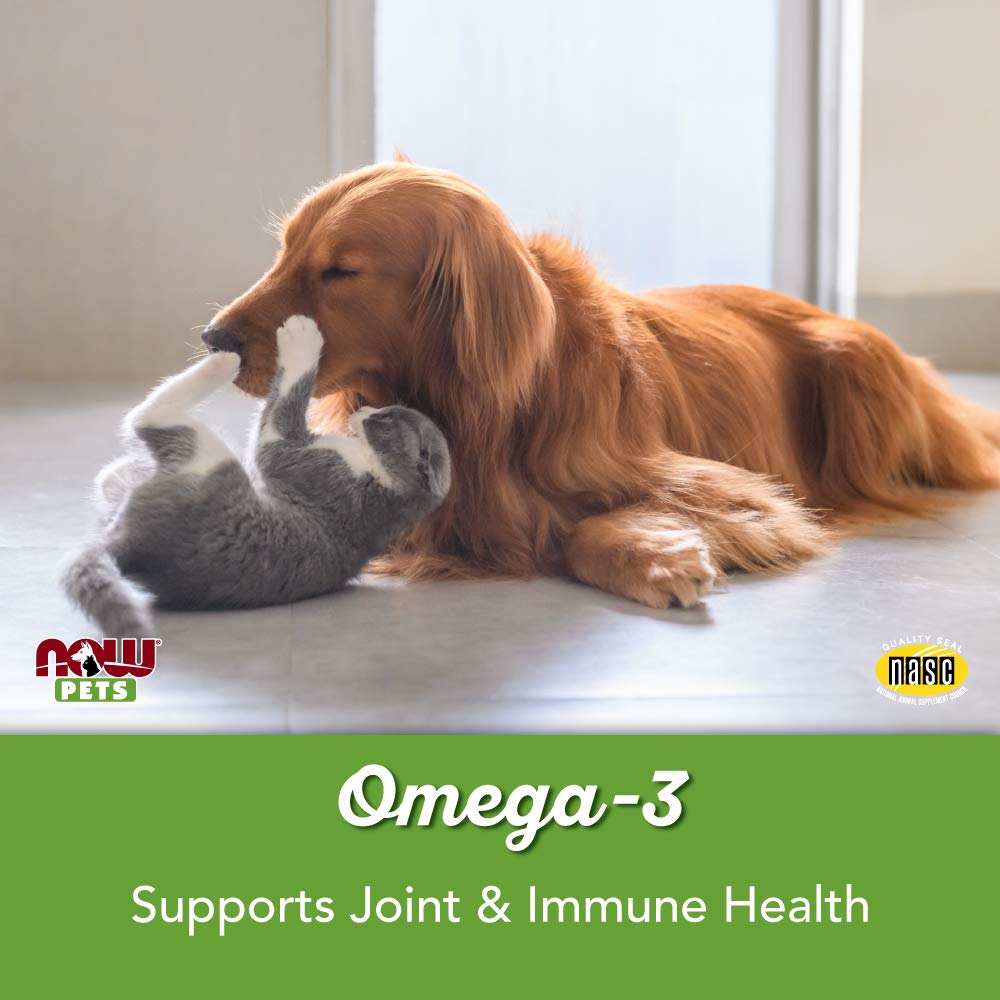 NOW Foods Omega 3 Mini Gels présentation en boîte