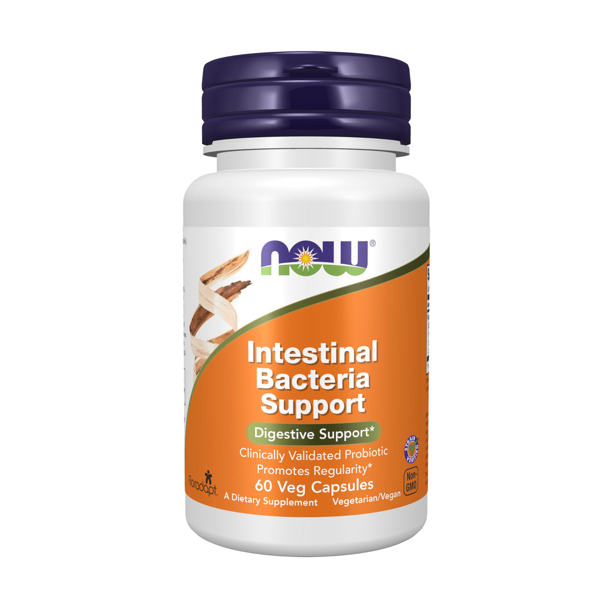 NOW Foods Probiotique Support Intestinal 60 Capsules Végétales vue de face