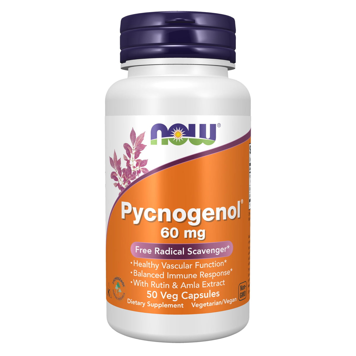 NOW Foods Pycnogenol 60 mg avec Acerola et Rutin, flacon de 50 capsules végétales