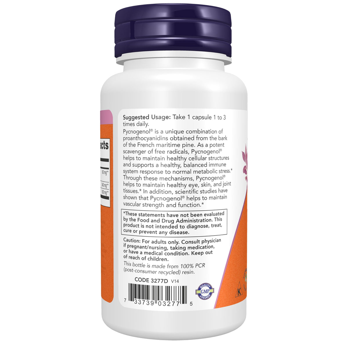 NOW Foods Pycnogenol 60 mg, capsules végétales sur fond blanc