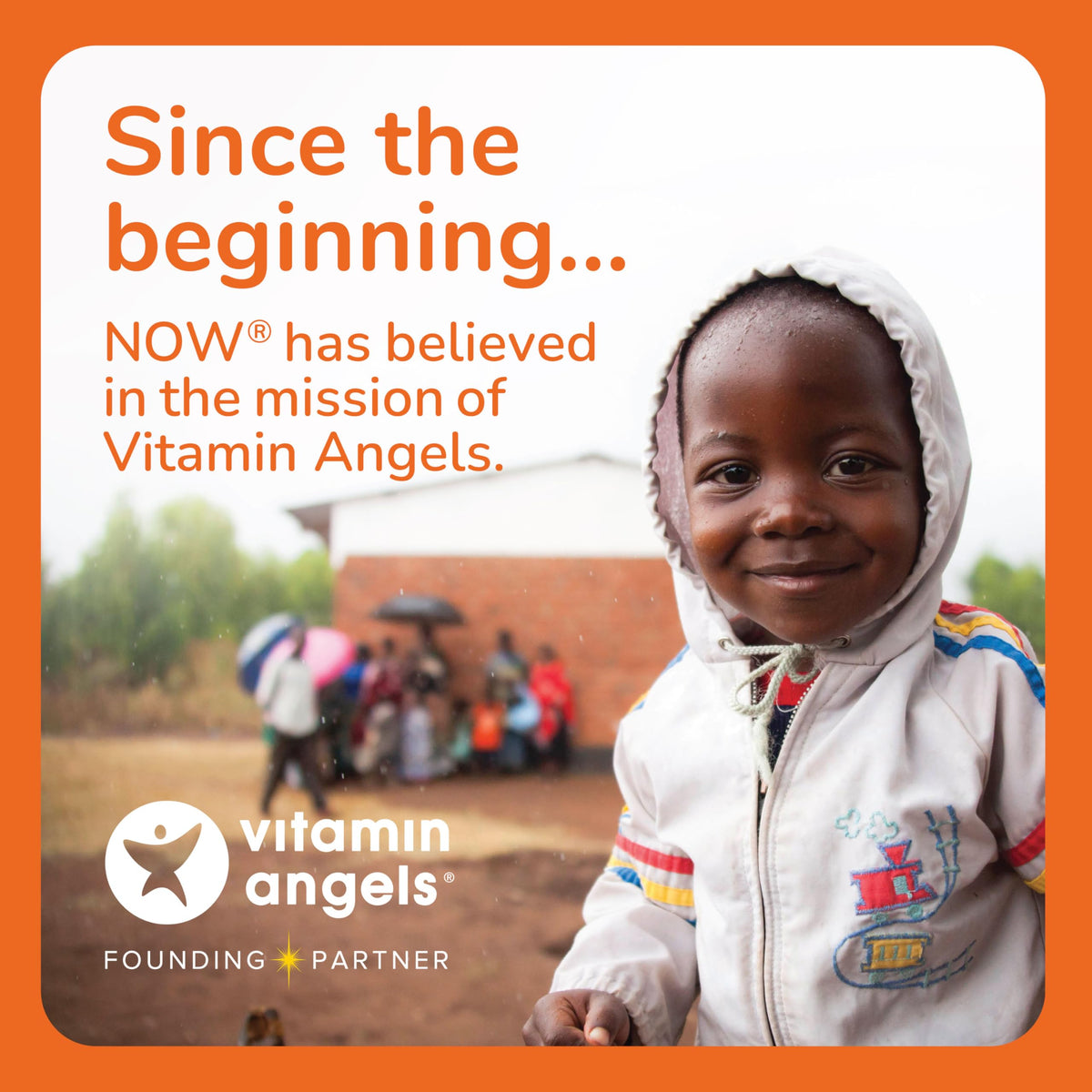 NOW Foods Silymarine 300 mg gélules végétales pour le bien-être
