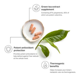Nu Skin Tēgreen 97 capsules montrant la taille de la capsule