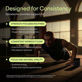 NÜCLEO FUNDAMENTALS Épicatéchine 250mg capsules sur une table