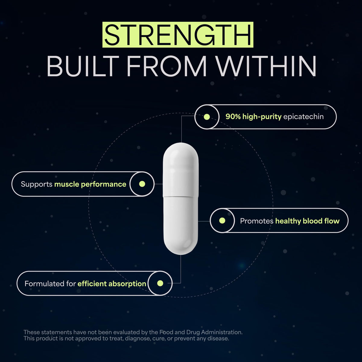NÜCLEO FUNDAMENTALS Épicatéchine 250mg emballage