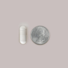 Nugenix créatine monohydrate 3000mg sur fond blanc
