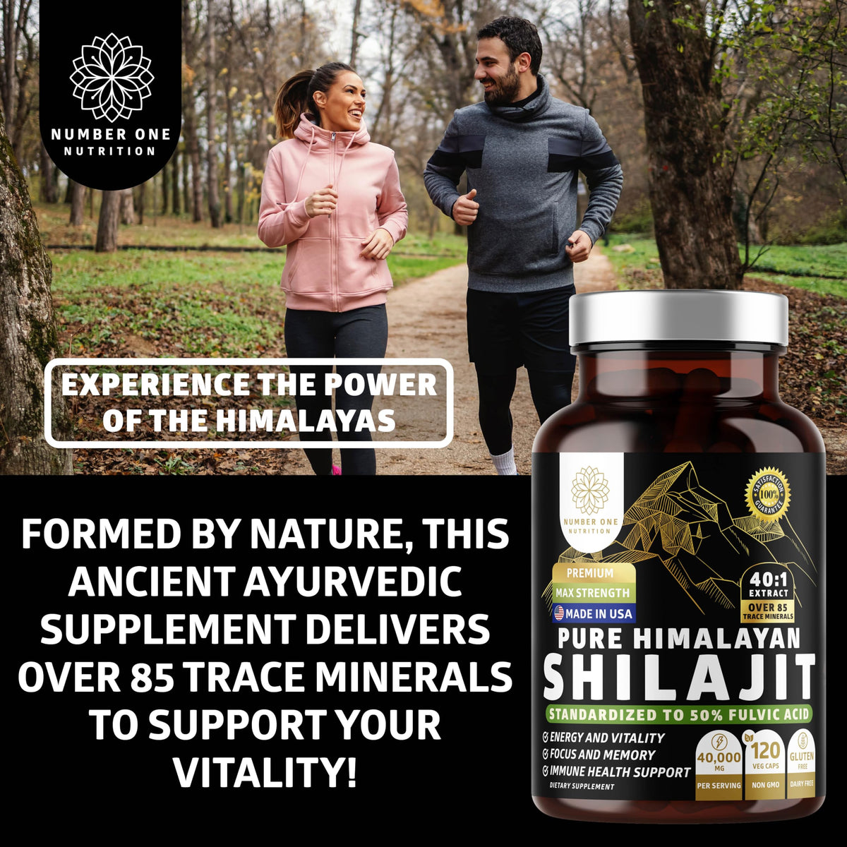 Number One Nutrition Shilajit Himalayen 40 000 mg capsules close-up