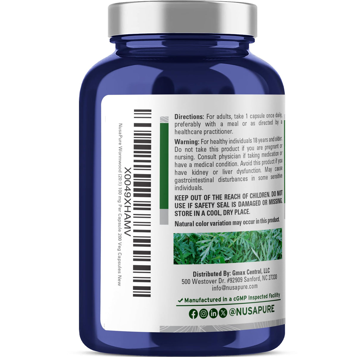 NusaPure Armoise 100mg gélule végétale sur fond blanc