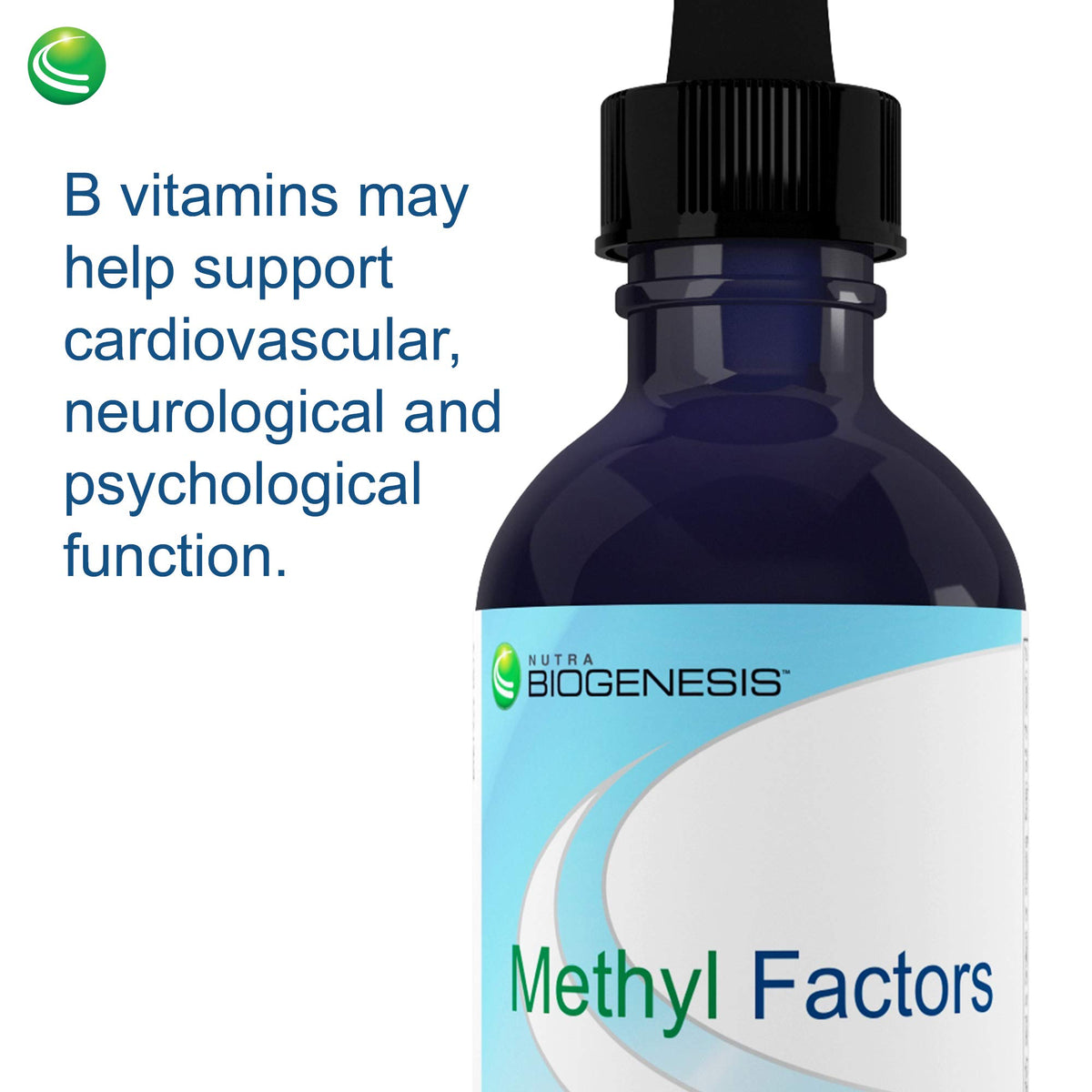 Nutra BioGenesis Methyl Factors gouttes de vitamine B12 et autres compléments