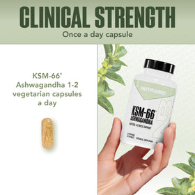 NutraBio Ashwagandha KSM-66 600 mg 60 capsules avec flacon