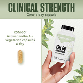 NutraBio Ashwagandha KSM-66 capsules dans une main