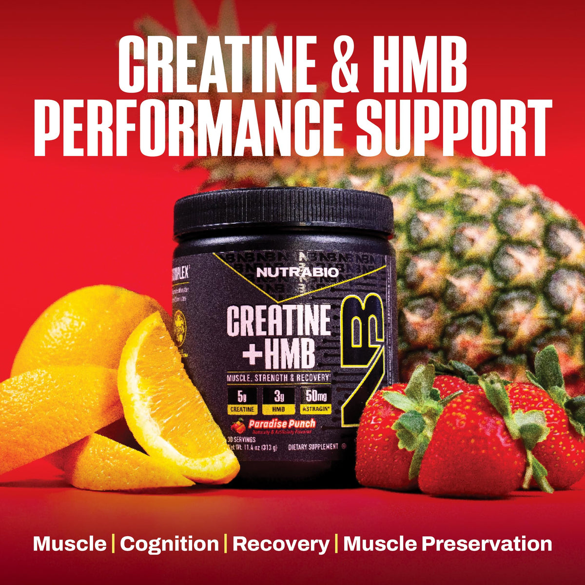 NutraBio Creatine + HMB Poudre 390g en utilisation dans un shaker