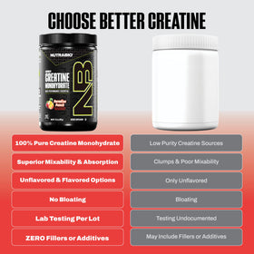 NutraBio Créatine Monohydrate Poudre 300g échantillon de la texture