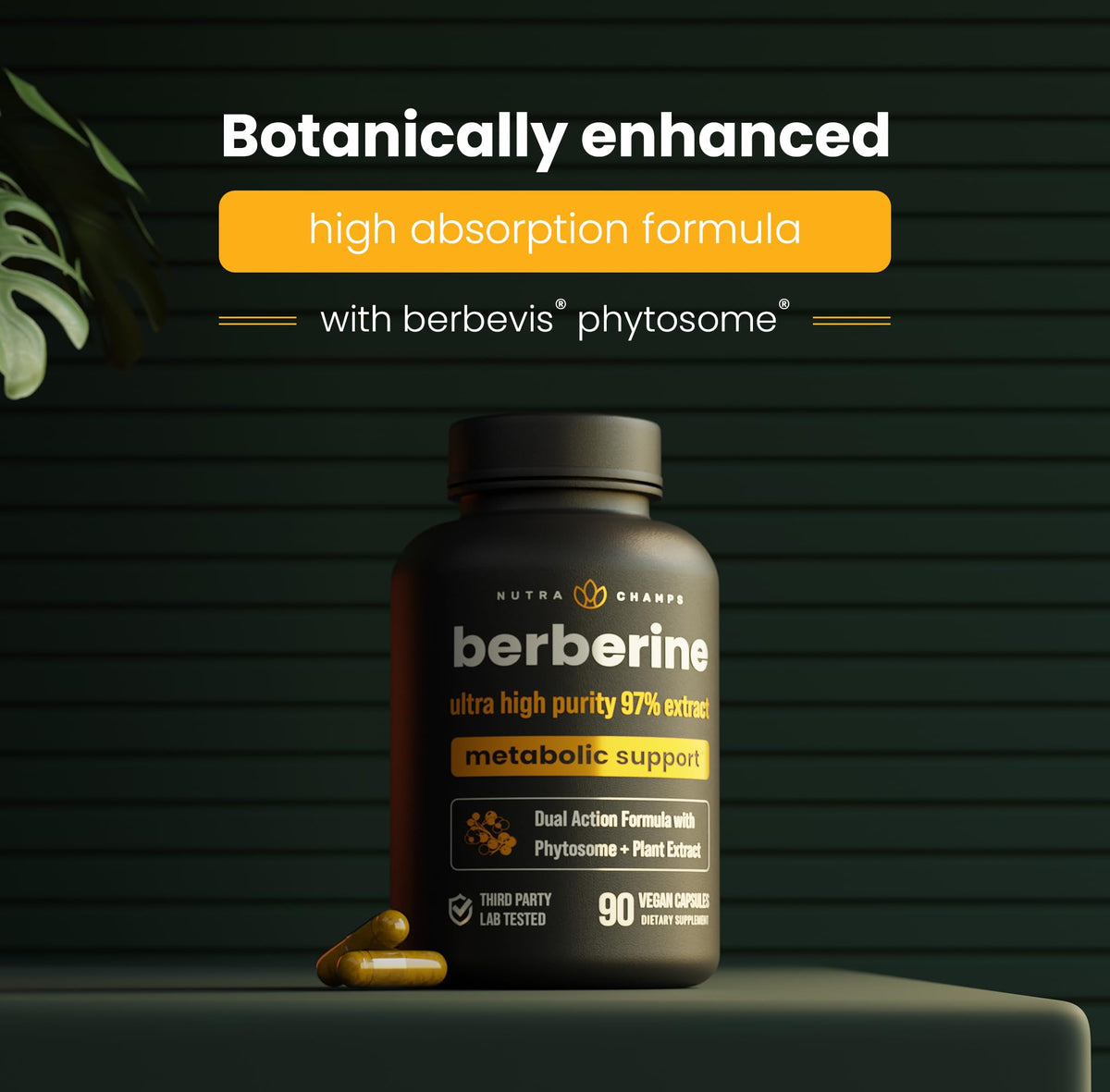 NutraChamps Berbérine 1500mg flacon avec capsules